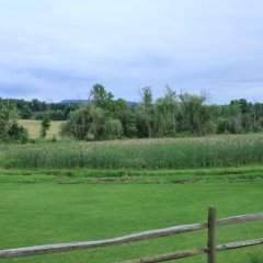 Township Scenery